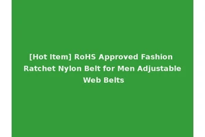 [Hot Item] RoHS Approved Fashion Ratchet Nylon Belt for Men Adjustable Web Belts