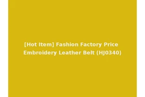 [Hot Item] Fashion Factory Price Embroidery Leather Belt (HJ0340)