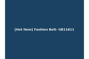 [Hot Item] Fashion Belt- GB11611