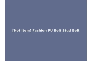 [Hot Item] Fashion PU Belt Stud Belt