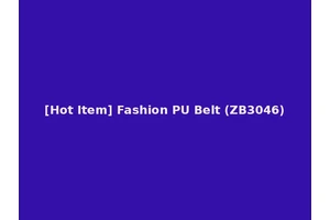 [Hot Item] Fashion PU Belt (ZB3046)