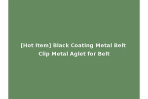 [Hot Item] Black Coating Metal Belt Clip Metal Aglet for Belt