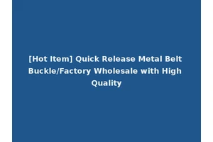 [Hot Item] Quick Release Metal Belt Buckle/Factory Wholesale with High Quality