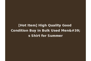 [Hot Item] High Quality Good Condition Buy in Bulk Used Men's Shirt for Summer