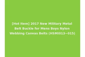 [Hot Item] 2017 New Military Metal Belt Buckle for Mens Boys Nylon Webbing Canvas Belts (HSMI013~015)