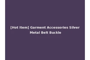 [Hot Item] Garment Accessories Silver Metal Belt Buckle