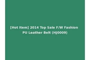 [Hot Item] 2014 Top Sale F/W Fashion PU Leather Belt (HJ0009)
