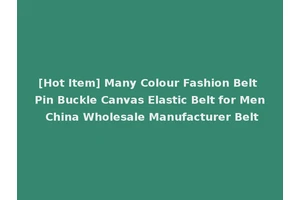 [Hot Item] Many Colour Fashion Belt Pin Buckle Canvas Elastic Belt for Men China Wholesale Manufacturer Belt