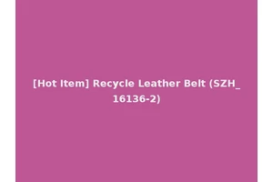 [Hot Item] Recycle Leather Belt (SZH_16136-2)