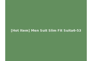 [Hot Item] Men Suit Slim Fit Suita6-53