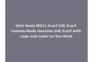 [Hot Item] W011 Scarf Silk Scarf Custom-Made Genuine Silk Scarf with Logo and Label as You Want