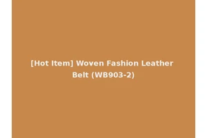 [Hot Item] Woven Fashion Leather Belt (WB903-2)