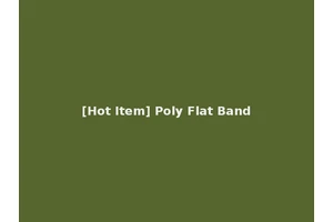 [Hot Item] Poly Flat Band