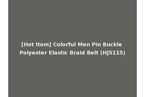 [Hot Item] Colorful Men Pin Buckle Polyester Elastic Braid Belt (HJ5115)