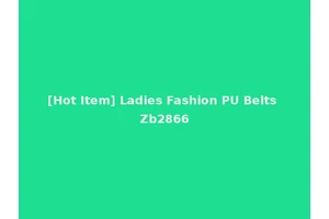 [Hot Item] Ladies Fashion PU Belts Zb2866