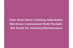 [Hot Item] Work Clothing Adjustable Bib Brace Customized Multi Pockets Bib Pants for Industry/Maintenance