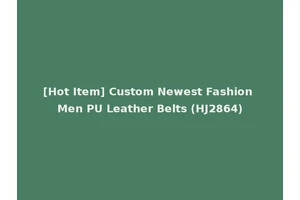 [Hot Item] Custom Newest Fashion Men PU Leather Belts (HJ2864)