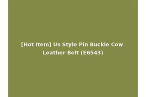 [Hot Item] Us Style Pin Buckle Cow Leather Belt (E6543)