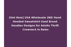 [Hot Item] USA Wholesale 2ND Hand Hooded Sweatshirt Used Brand Hoodies Designs for Adults Thrift Crewneck in Bales