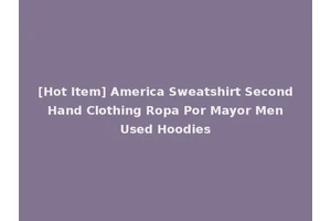 [Hot Item] America Sweatshirt Second Hand Clothing Ropa Por Mayor Men Used Hoodies