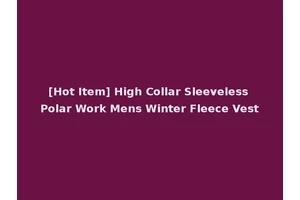 [Hot Item] High Collar Sleeveless Polar Work Mens Winter Fleece Vest