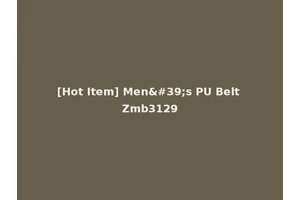 [Hot Item] Men's PU Belt Zmb3129