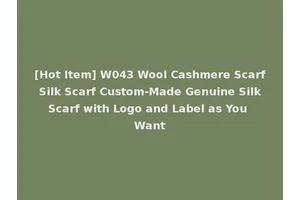 [Hot Item] W043 Wool Cashmere Scarf Silk Scarf Custom-Made Genuine Silk Scarf with Logo and Label as You Want