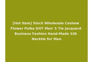 [Hot Item] Stock Wholesale Cashew Flower Polka DOT Men′ S Tie Jacquard Business Fashion Hand-Made Silk Necktie for Men