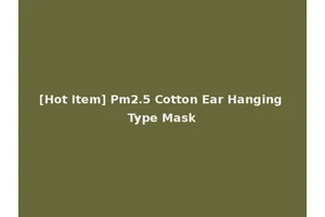 [Hot Item] Pm2.5 Cotton Ear Hanging Type Mask