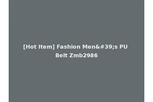 [Hot Item] Fashion Men's PU Belt Zmb2986