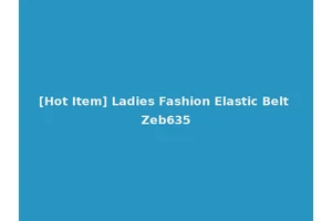 [Hot Item] Ladies Fashion Elastic Belt Zeb635