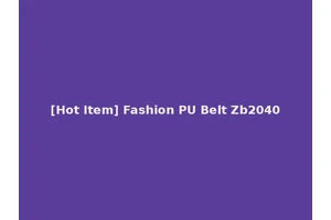 [Hot Item] Fashion PU Belt Zb2040