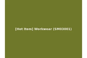 [Hot Item] Workwear (SM03001)