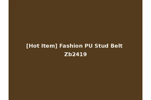[Hot Item] Fashion PU Stud Belt Zb2419