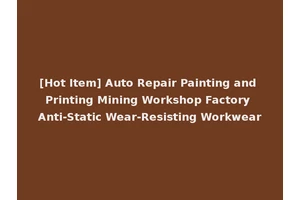 [Hot Item] Auto Repair Painting and Printing Mining Workshop Factory Anti-Static Wear-Resisting Workwear