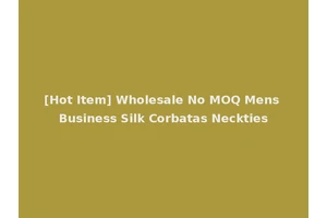 [Hot Item] Wholesale No MOQ Mens Business Silk Corbatas Neckties