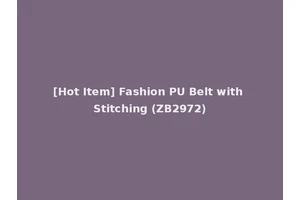[Hot Item] Fashion PU Belt with Stitching (ZB2972)