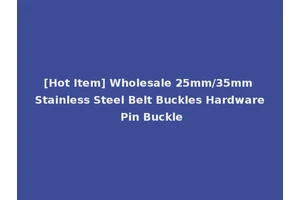 [Hot Item] Wholesale 25mm/35mm Stainless Steel Belt Buckles Hardware Pin Buckle