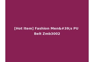 [Hot Item] Fashion Men's PU Belt Zmb3002