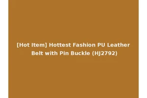 [Hot Item] Hottest Fashion PU Leather Belt with Pin Buckle (HJ2792)