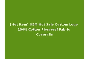 [Hot Item] OEM Hot Sale Custom Logo 100% Cotton Fireproof Fabric Coveralls
