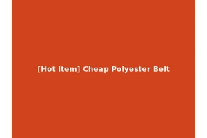 [Hot Item] Cheap Polyester Belt
