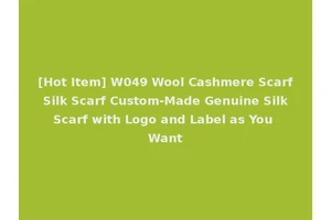 [Hot Item] W049 Wool Cashmere Scarf Silk Scarf Custom-Made Genuine Silk Scarf with Logo and Label as You Want