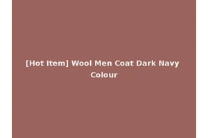 [Hot Item] Wool Men Coat Dark Navy Colour