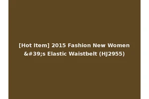 [Hot Item] 2015 Fashion New Women's Elastic Waistbelt (HJ2955)
