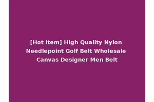 [Hot Item] High Quality Nylon Needlepoint Golf Belt Wholesale Canvas Designer Men Belt