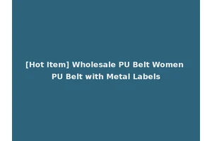 [Hot Item] Wholesale PU Belt Women PU Belt with Metal Labels