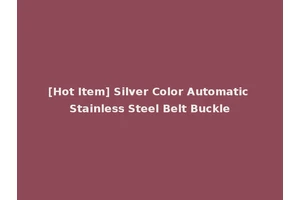 [Hot Item] Silver Color Automatic Stainless Steel Belt Buckle