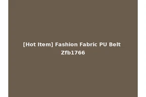 [Hot Item] Fashion Fabric PU Belt Zfb1766