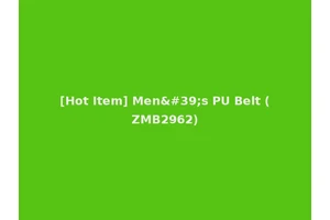 [Hot Item] Men's PU Belt (ZMB2962)